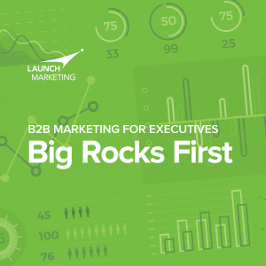 B2B Marketing for Executives